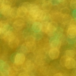Bokeh-494